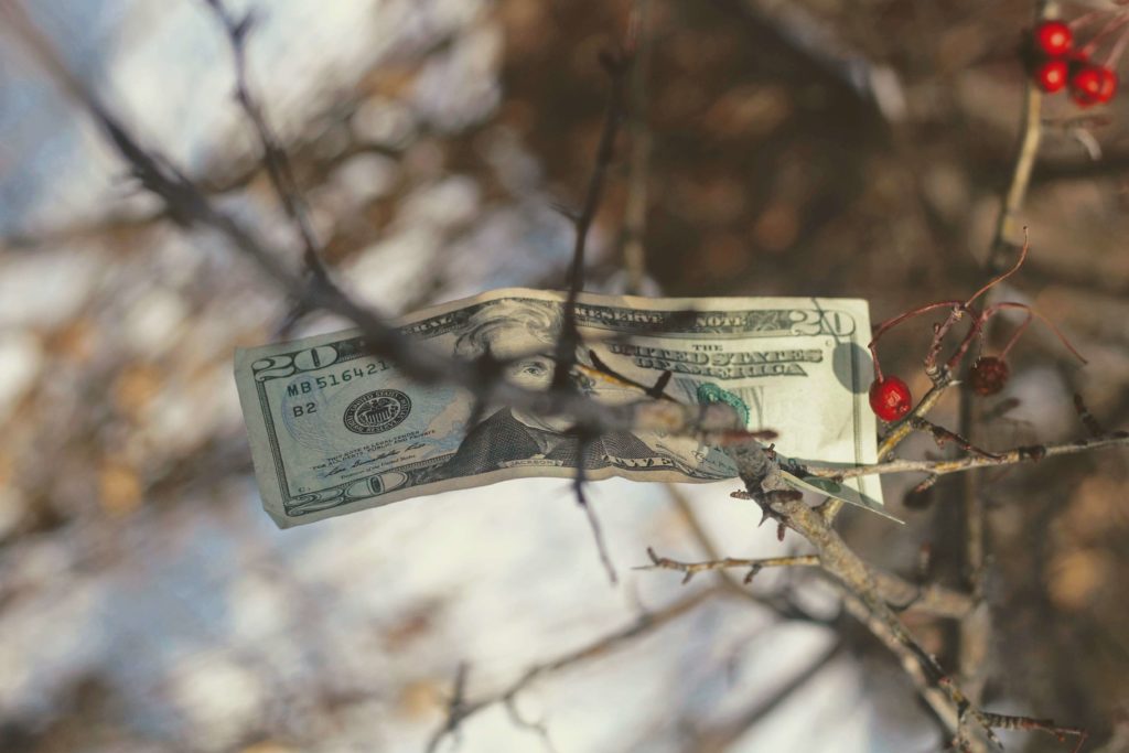 l'argent ne pousse pas dans les arbres