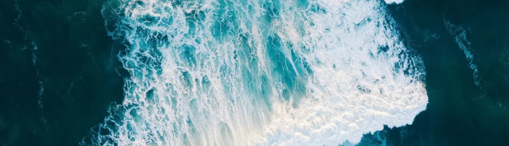 cela fait bien trop longtemps que je n'ai pas vu l'océan