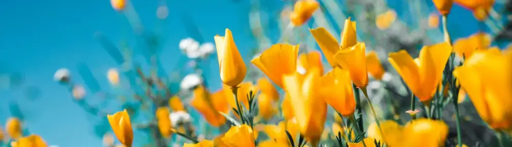 une putain de bonne journée