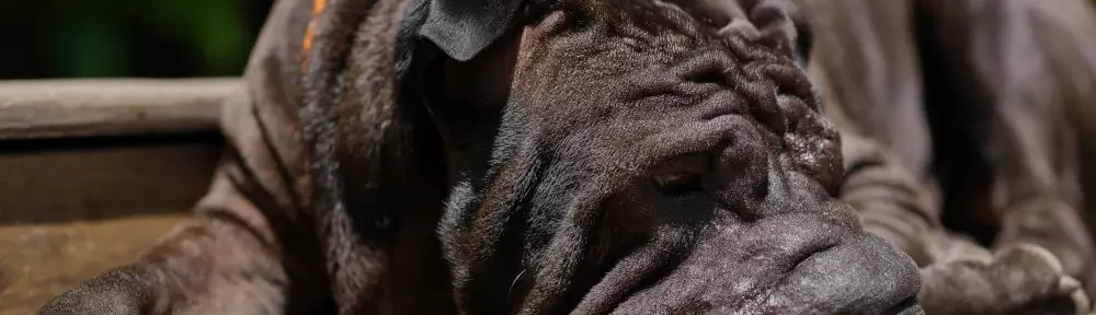 j'ai la peau qui pend